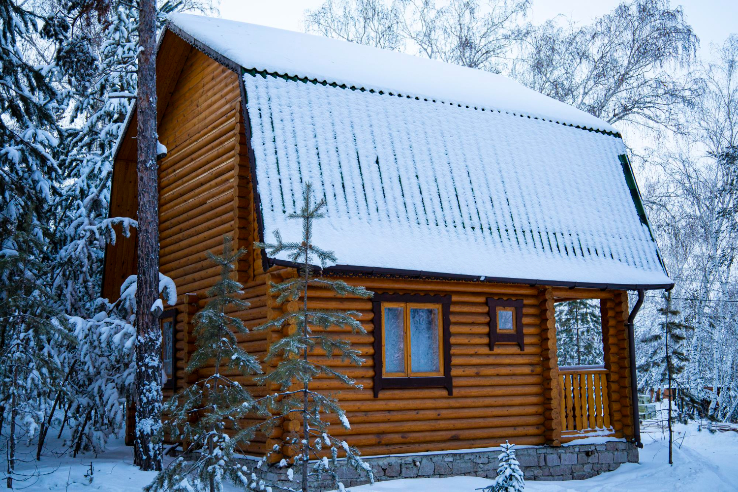 Nettoyage toiture chalet