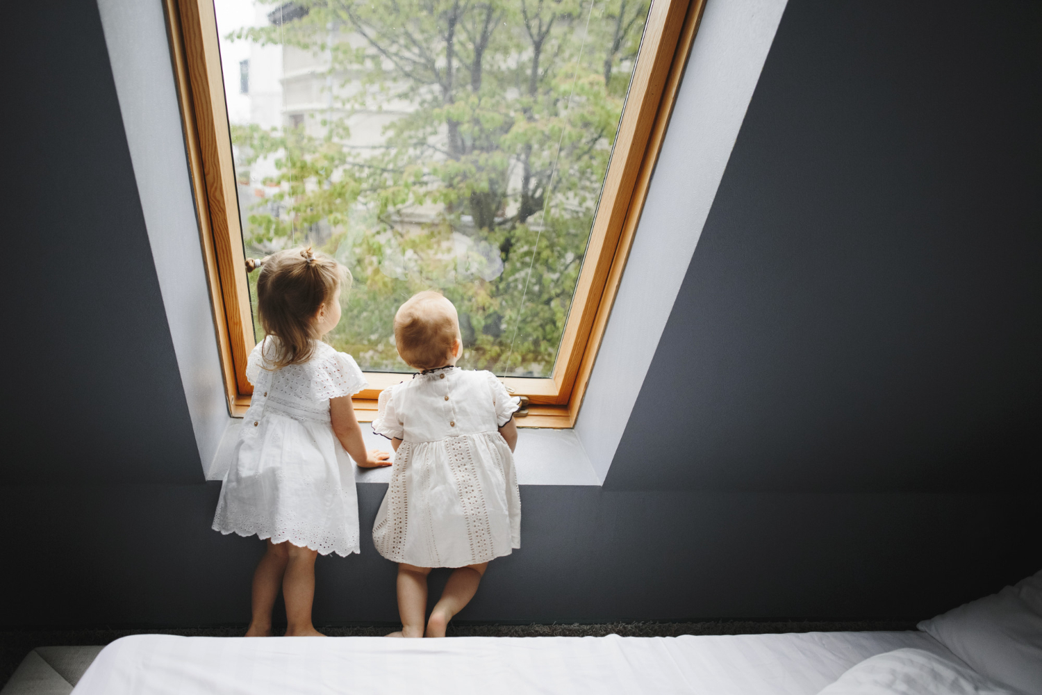 modeles-velux-adaptes