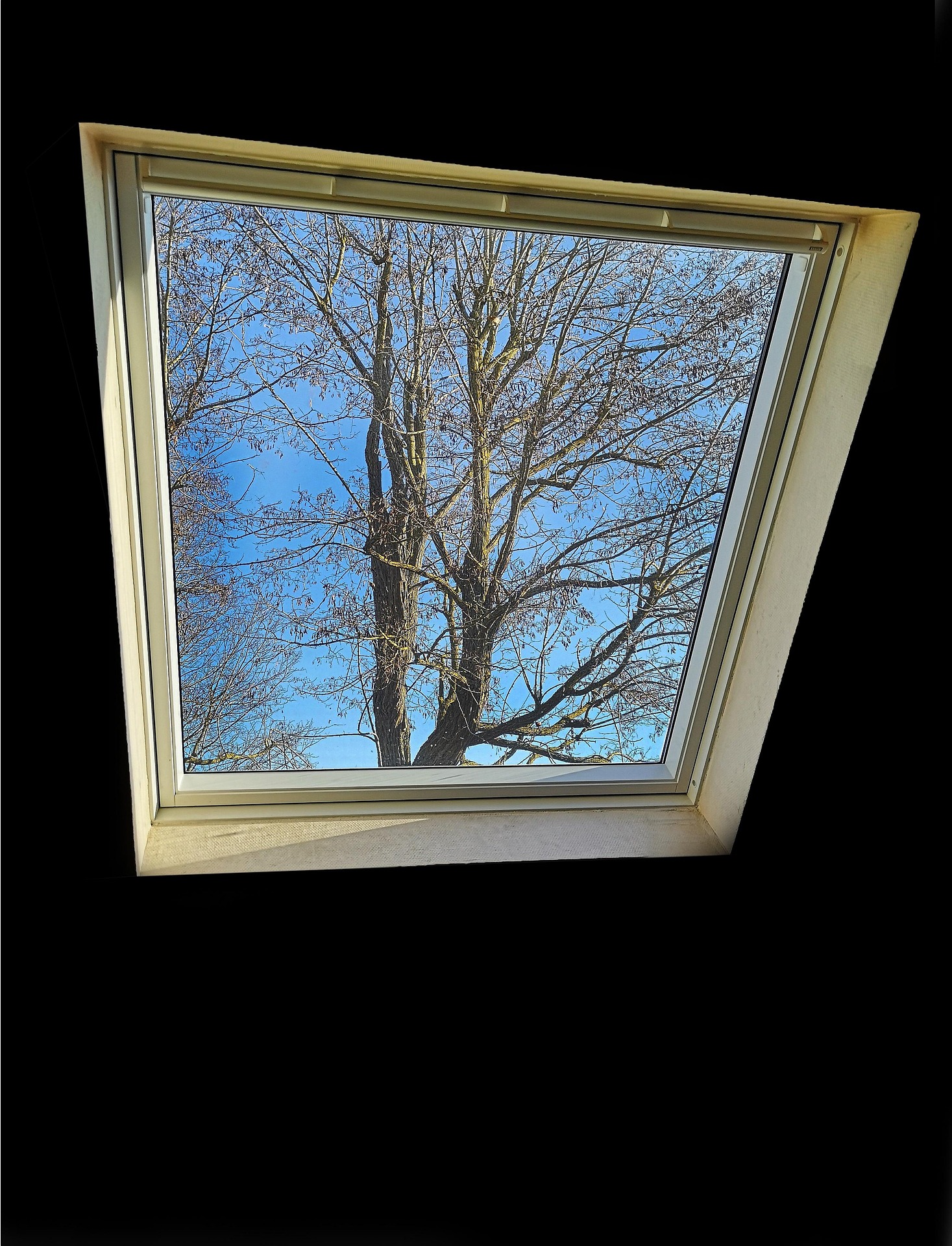remplacement-fenetres-velux