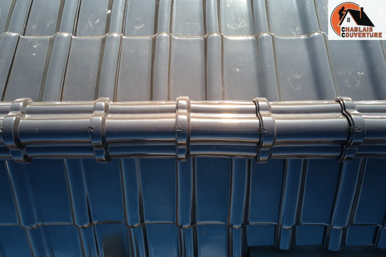 Entretien et réparation de toiture à Gaillard : démoussage, hydrofuge, étanchéité