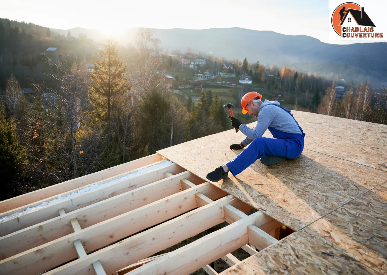 Entretien et réparation de toiture à Rumilly : démoussage, hydrofuge, étanchéité